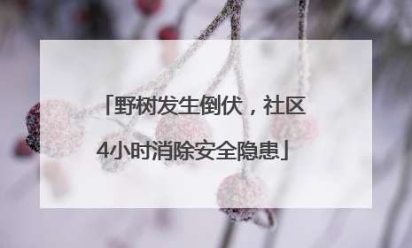 野树发生倒伏，社区4小时消除安全隐患