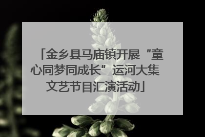 金乡县马庙镇开展“童心同梦同成长”运河大集文艺节目汇演活动