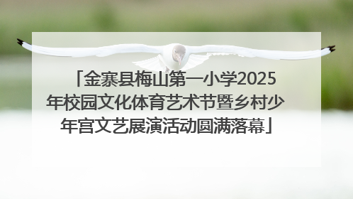 金寨县梅山第一小学2025年校园文化体育艺术节暨乡村少年宫文艺展演活动圆满落幕