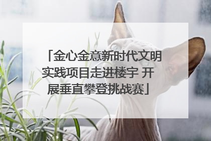 金心金意新时代文明实践项目走进楼宇 开展垂直攀登挑战赛