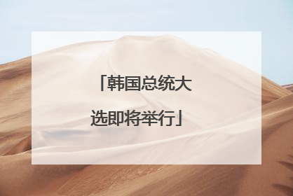 韩国总统大选即将举行