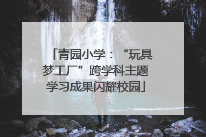 青园小学：“玩具梦工厂”跨学科主题学习成果闪耀校园