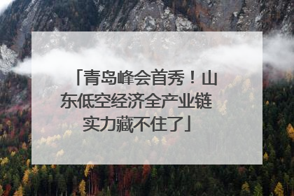 青岛峰会首秀！山东低空经济全产业链实力藏不住了