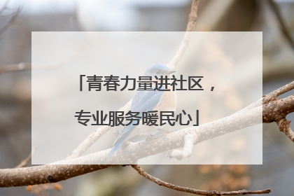 青春力量进社区，专业服务暖民心
