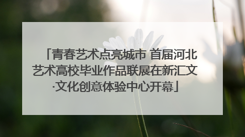 青春艺术点亮城市 首届河北艺术高校毕业作品联展在新汇文·文化创意体验中心开幕