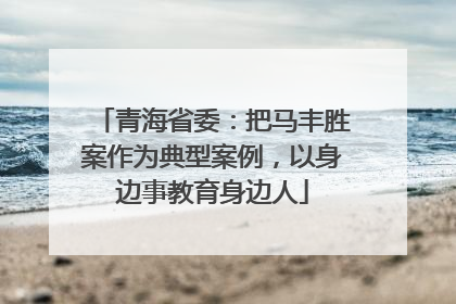 青海省委：把马丰胜案作为典型案例，以身边事教育身边人