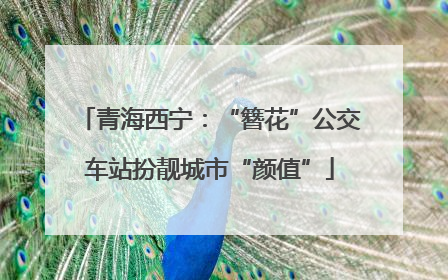 青海西宁：“簪花”公交车站扮靓城市“颜值”