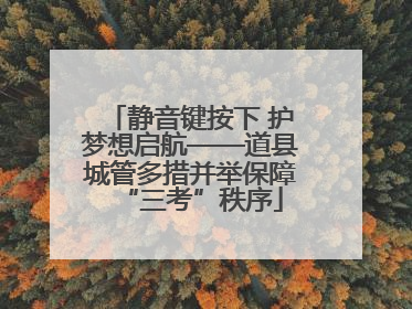 静音键按下 护梦想启航——道县城管多措并举保障“三考”秩序
