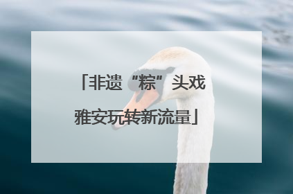 非遗“粽”头戏 雅安玩转新流量