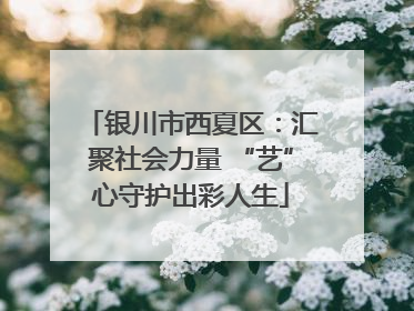 银川市西夏区：汇聚社会力量 “艺”心守护出彩人生