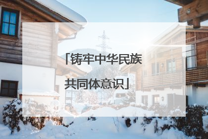 铸牢中华民族共同体意识