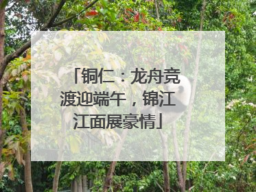 铜仁：龙舟竞渡迎端午，锦江江面展豪情