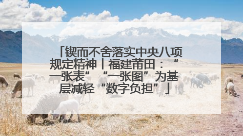 锲而不舍落实中央八项规定精神丨福建莆田：“一张表”“一张图”为基层减轻“数字负担”