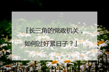长三角的党政机关，如何过好紧日子？