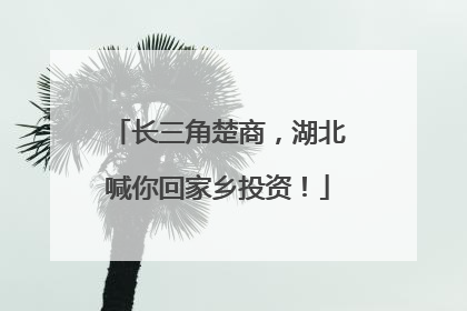 长三角楚商，湖北喊你回家乡投资！
