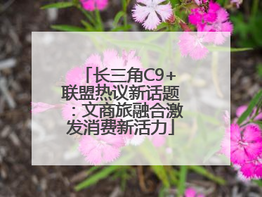 长三角C9+联盟热议新话题：文商旅融合激发消费新活力