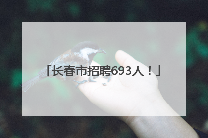 长春市招聘693人！