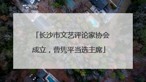 长沙市文艺评论家协会成立，曹隽平当选主席