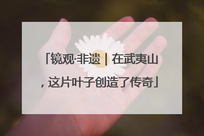 镜观·非遗｜在武夷山，这片叶子创造了传奇