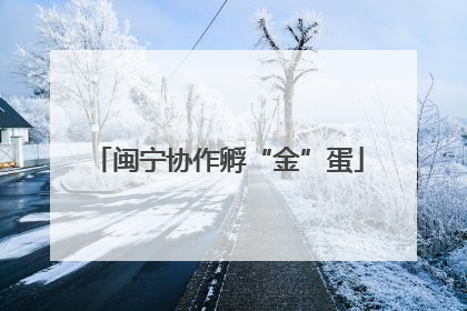闽宁协作孵“金”蛋