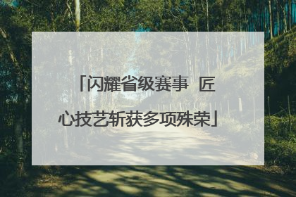 闪耀省级赛事  匠心技艺斩获多项殊荣