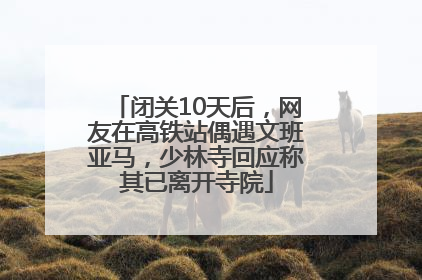 闭关10天后，网友在高铁站偶遇文班亚马，少林寺回应称其已离开寺院