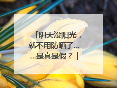 阴天没阳光，就不用防晒了……是真是假？｜谣言终结站