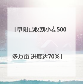 阜阳已收割小麦500多万亩 进度达70%