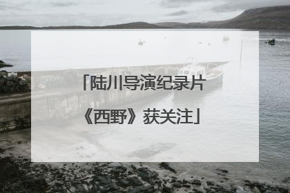 陆川导演纪录片《西野》获关注