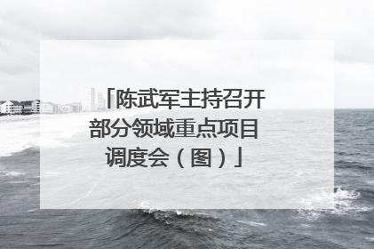 陈武军主持召开部分领域重点项目调度会（图）
