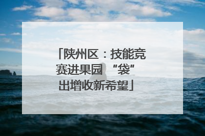 陕州区：技能竞赛进果园 “袋”出增收新希望
