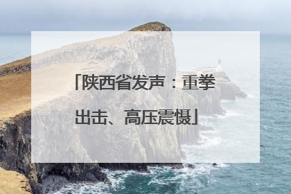 陕西省发声：重拳出击、高压震慑