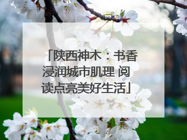 陕西神木：书香浸润城市肌理 阅读点亮美好生活