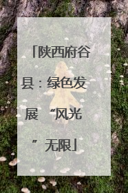 陕西府谷县：绿色发展 “风光”无限