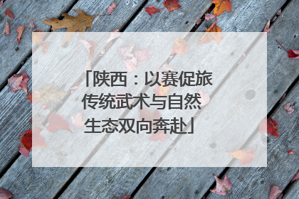 陕西：以赛促旅 传统武术与自然生态双向奔赴