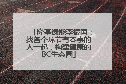 隆基绿能李振国：找各个环节有本事的人一起，构建健康的BC生态圈
