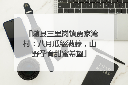 随县三里岗镇贾家湾村：八月瓜缀满藤，山野孕育甜蜜希望