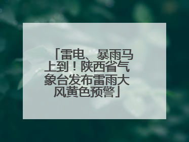 雷电、暴雨马上到！陕西省气象台发布雷雨大风黄色预警