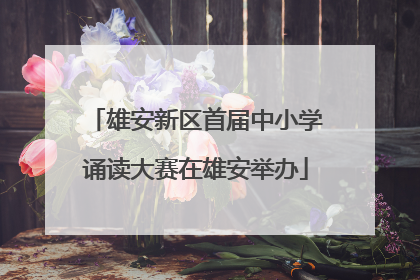 雄安新区首届中小学诵读大赛在雄安举办