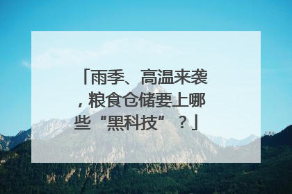 雨季、高温来袭，粮食仓储要上哪些“黑科技”？