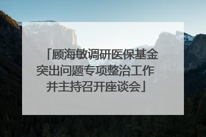 顾海敏调研医保基金突出问题专项整治工作并主持召开座谈会