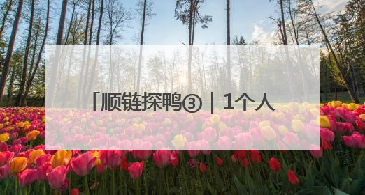 顺链探鸭③｜1个人就能管6万只鸭，养成一只鸭只需50多天