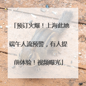 预订火爆！上海此地端午人流预警，有人提前体验！视频曝光