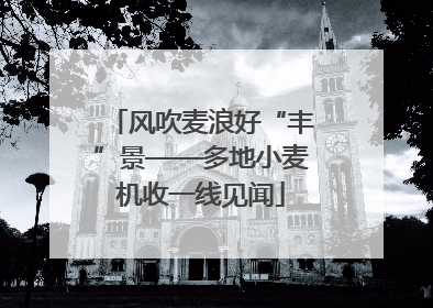 风吹麦浪好“丰”景——多地小麦机收一线见闻