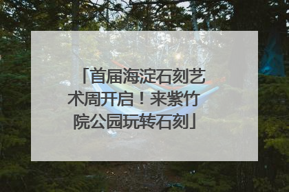 首届海淀石刻艺术周开启！来紫竹院公园玩转石刻