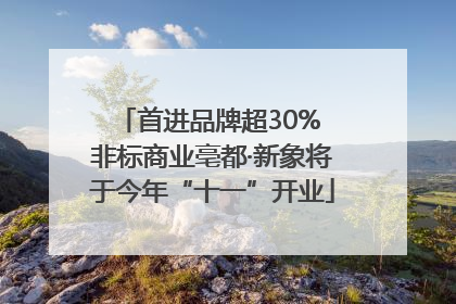 首进品牌超30% 非标商业亳都·新象将于今年“十一”开业