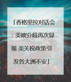 香格里拉对话会：美欧分歧再次显现 美关税政策引发各大洲不安