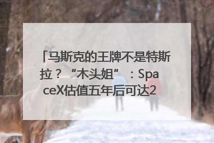 马斯克的王牌不是特斯拉？“木头姐”：SpaceX估值五年后可达2.5万亿美元！