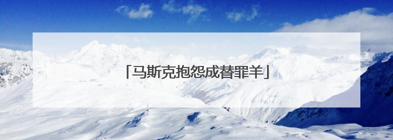 马斯克抱怨成替罪羊