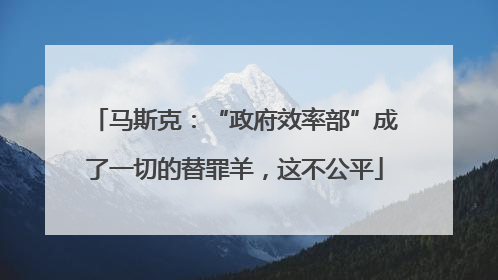 马斯克：“政府效率部”成了一切的替罪羊，这不公平